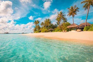 Poster Maldives island beach. Tropical landscape of summer scenery, white sand with palm trees. Luxury travel vacation destination. Exotic beach landscape. Amazing nature, relax, freedom nature resort coast © icemanphotos