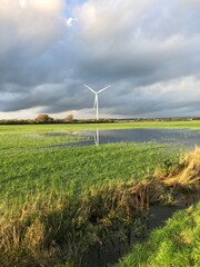 wind turbine in the field