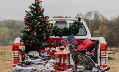 Outdoor Christmas decoration with pickup truck and cat