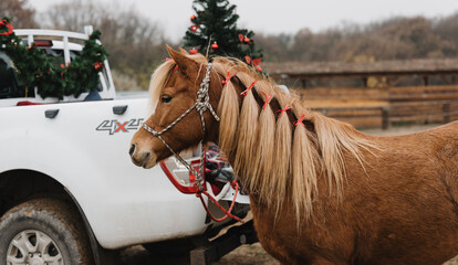 Outdoor Christmas decoration with pickup truck and horse © mooseshop