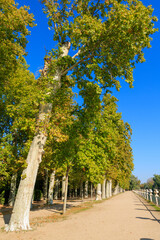 Naklejka premium long road with trees on one side and a railing on the other