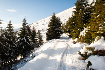 Panorama of snow-capped mountains, snow and clouds on the horizon