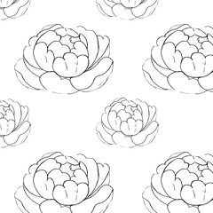 Peony seamless pattern drawn in a linear style. Botanical style. Ideal for printing on fabric