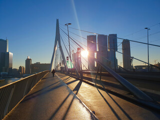 Cold winter morning throwing long shadows on the Erasmus bridge in Rotterdam, the Netherlands - obrazy, fototapety, plakaty