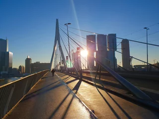 Fototapete Rotterdam Cold winter morning throwing long shadows on the Erasmus bridge in Rotterdam, the Netherlands
