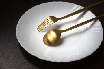 fresh and ripe blueberries on a spoon, a plate with berries