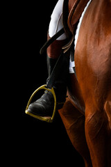 A rider's foot on brown horse looking forward closeup. A woman's horse riding booted foot standing in a gold stirrup of horse saddle isolated on black background. - obrazy, fototapety, plakaty