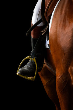 A rider's foot on brown horse looking forward closeup. A woman's horse riding booted foot standing in a gold stirrup of horse saddle isolated on black background.