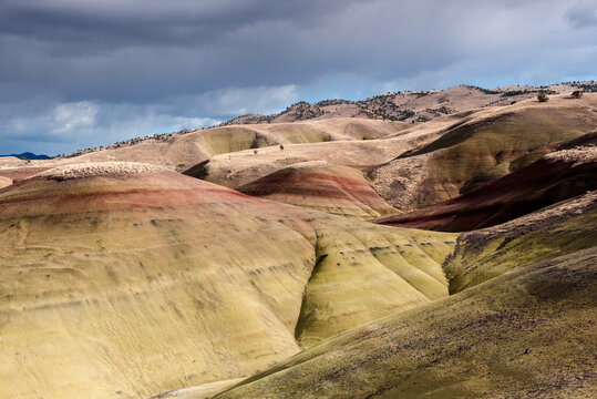 Painted hill and mountains at John day national monument
