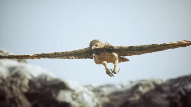 extreme slow motion shot of eagle