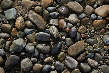 background and texture of wet stones, wet chanting on the shore of a lake