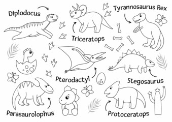 Vector set of cute dinosaurs with names isolated on white background. Funny flat dino characters. Cute prehistoric reptiles illustration. © Lexi Claus