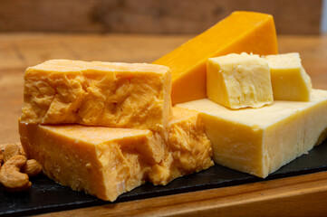 British cheeses collection, Scottish coloured and English matured cheddar cheeses