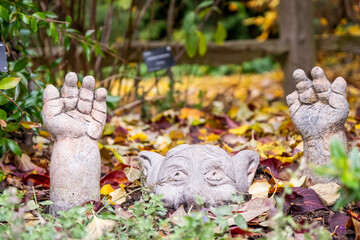Obraz premium Novelty garden ornament, statue or statuette of a monster in a plant bed in Cambridge Botanical Gardens captured in Autumn