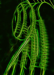 bright neon green glowing curves and lines of a dark background
