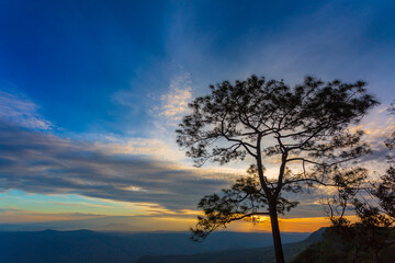 Fototapeta na wymiar Silhouette of tourist at mountain top wait for see sunrise ,Phu Kradueng National Park, Thailand
