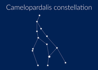 Camelopardalis zodiac constellation sign with stars on blue background of cosmic sky © Влад Мясищев