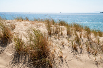 Dunes on a sandy island hill