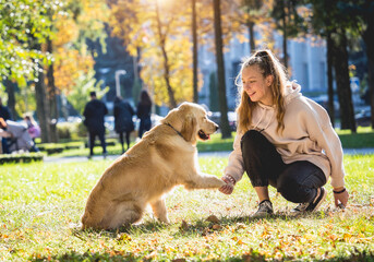 The owner plays the golden retriever dog in the park.