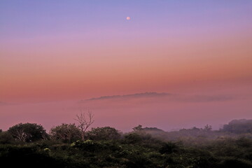 morning moon in the sky