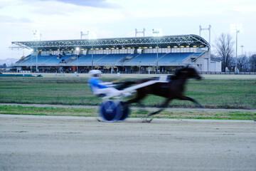 Trotting horse race, horse with sulky, with background the spectators' tribune and lighting
