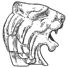 Tiger head decorative, roaring, cat face for emblems, badges or labels. Portrait of tiger growl isolated on white background. Vector.