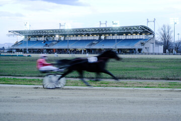 Trotting horse race, horse with sulky, with background the spectators' tribune and lighting
