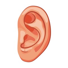 Ear human icons isolated on white background. Design template of body part, human organ