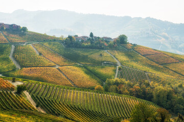 Fototapeta premium Beautiful hills and vineyards during fall season surrounding Serralunga d'Alba village. In the Langhe region, Cuneo, Piedmont, Italy.