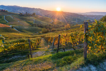 Beautiful sunset with hills and vineyards during fall season near Serralunga d'Alba village. In the Langhe region, Cuneo, Piedmont, Italy. - obrazy, fototapety, plakaty