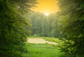 Lake in the forest in spring and sunrise in the forest