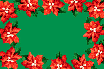  frame made of paper flowers christmas star poinsettia on green background