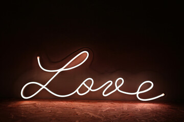 Neon sign love. Trendy style. Neon sign. Custom neon. Home decor.