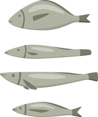 Four type of the fishes