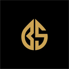 BS initial water or oil logo vector image