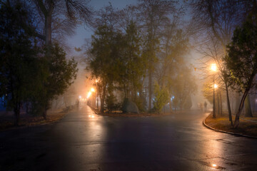 Street lights foggy misty night lamp post lanterns city road. Night fog park scenery