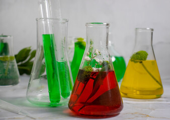 laboratory flask flower on a light background