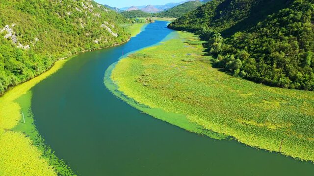 Blue river with green water lilys on mountains background on Crnojevica river in national park of Montenegro, meandering through the marsh among hills on way to lake Skadar.