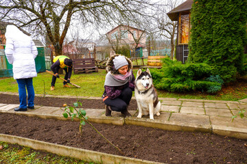 Autumn. A girl walks and talks with a dog Husky. In the background, her boyfriend is shoveling garbage.