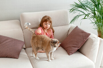 Little girl child stroking cat while sitting on couch at home. Love and relationship of pets and children. Kid girl playing with domestic ginger cat
