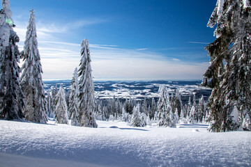 Snowy wonderland in Sumava national park