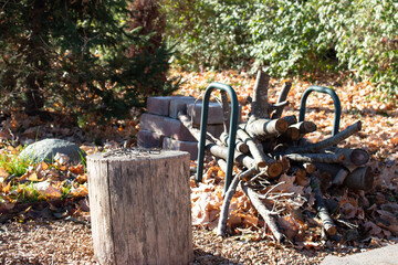 firewood in the garden and a tree stump