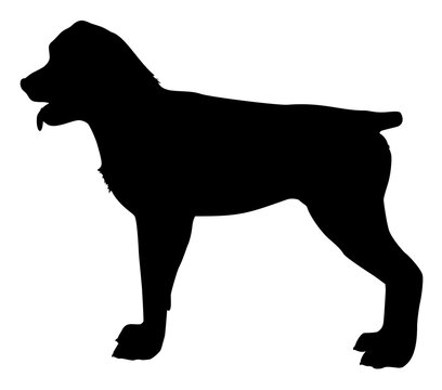 silhouette of a rottweiler breed dog vector