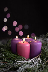 Three Christmas purple and one pink advent candle. - obrazy, fototapety, plakaty