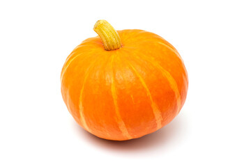 Large orange pumpkin isolated on a white background. Halloween pumpkins