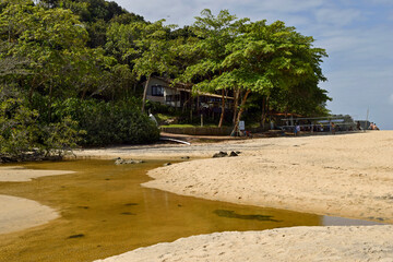 Encontro de rio com o mar com contruções e mata ao redor