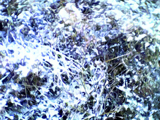 Winter background for wallpaper or textures. Snowy bush - vector illustration for prints and textiles, fabric products, scrapbooking, background and posters, holidays and events, covers, etc.