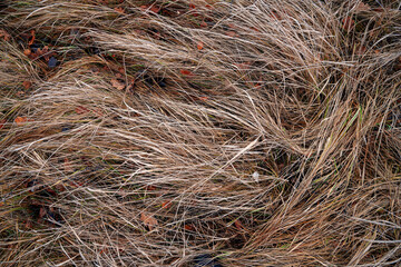 Landscape of late autumn