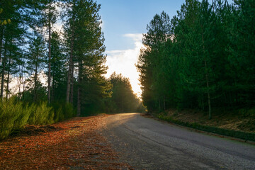 Tramonto in montagna