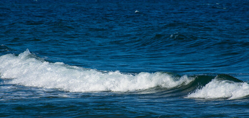 Raging Black Sea. Big wave with sea foam